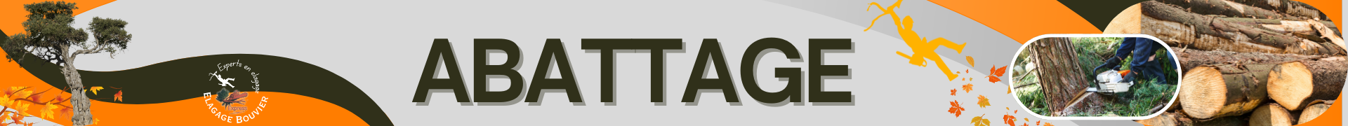 Abattage - Elagage Bouvier Express Bannière