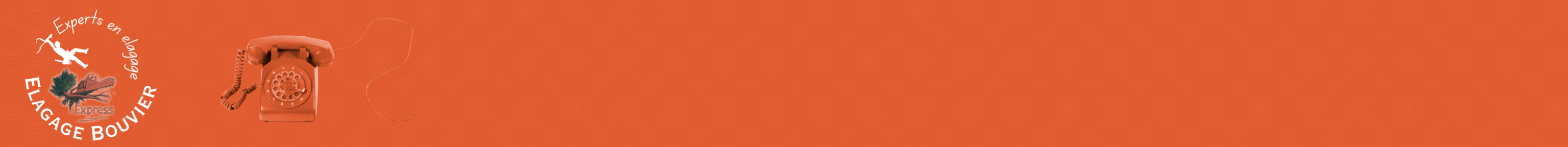 Contactez Élagage Bouvier Express pour vos services d'élagage à Saint-Cyr-sur-Mer