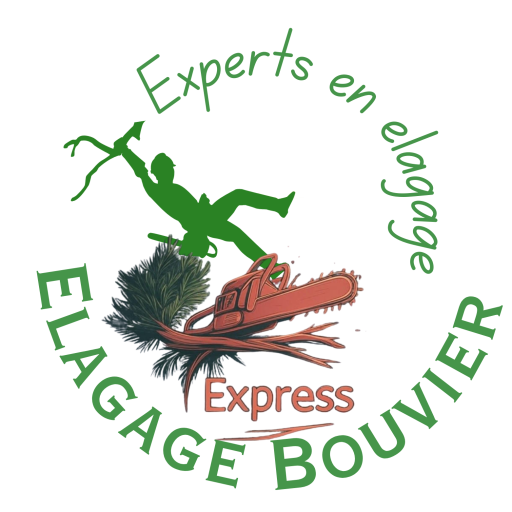 Logo Élagage Bouvier Express
