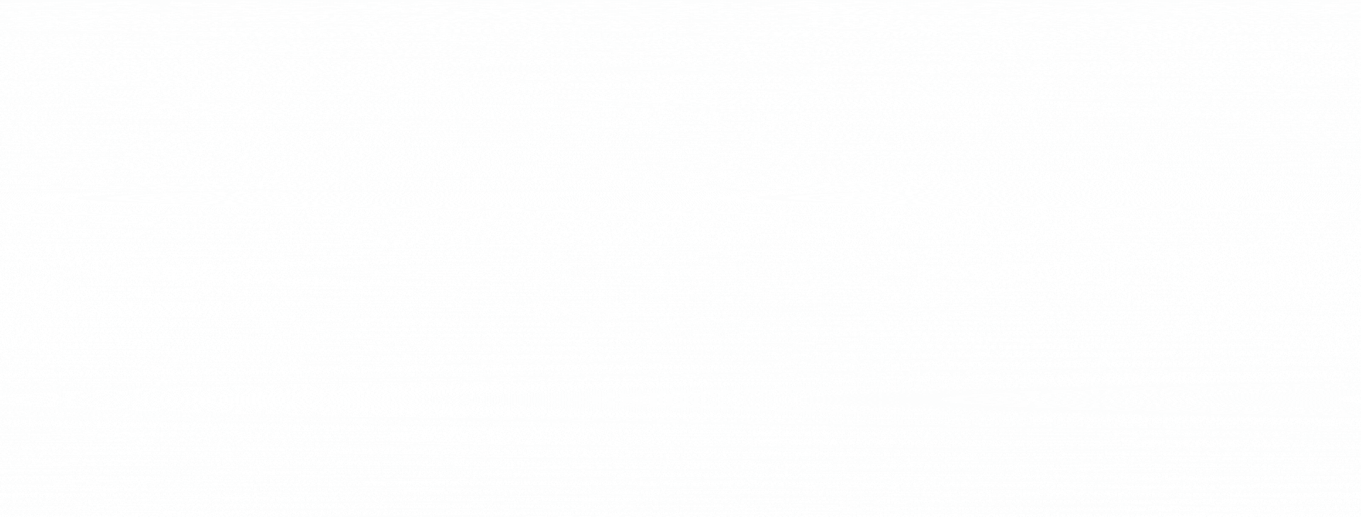 Elagage Bouvier Express