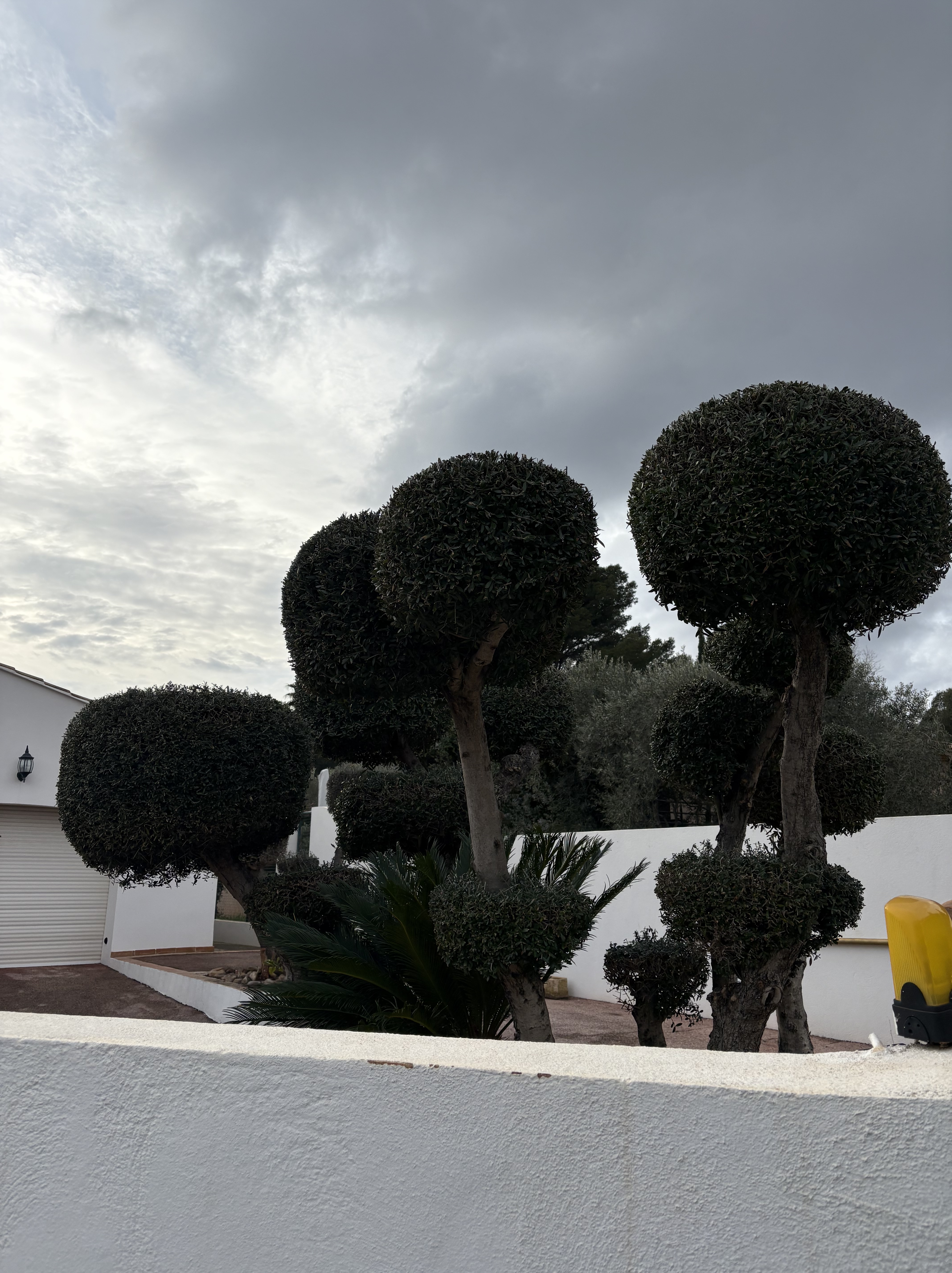 Elagage Bouvier Express