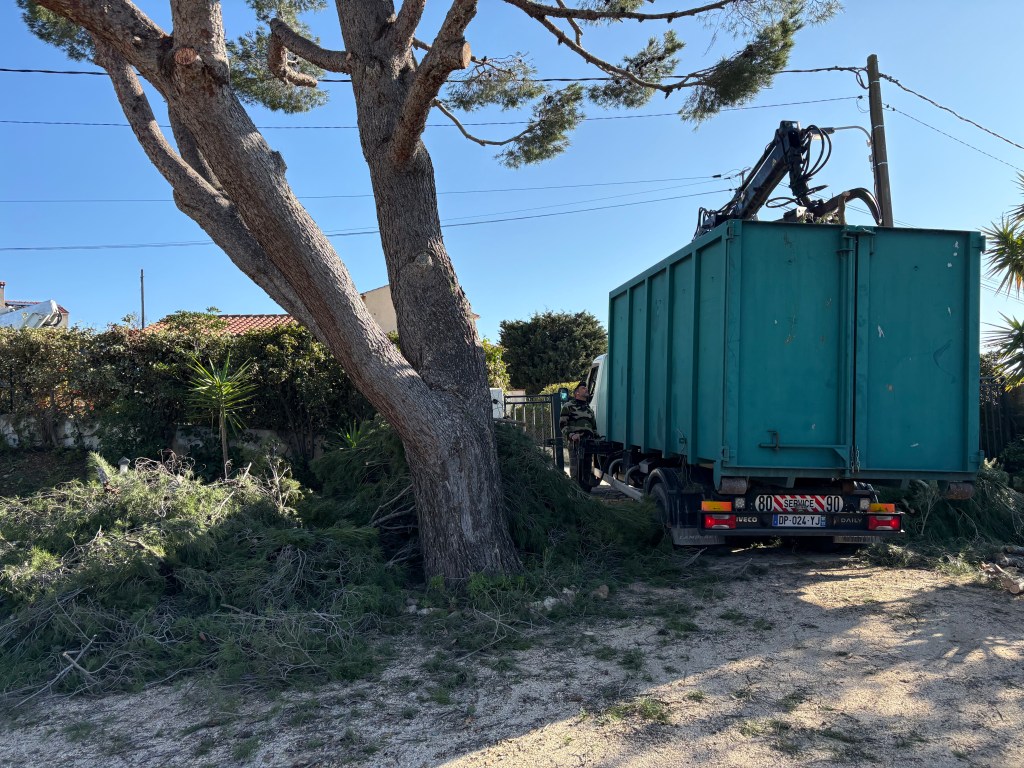 Elagage Saint Cyr sur Mer