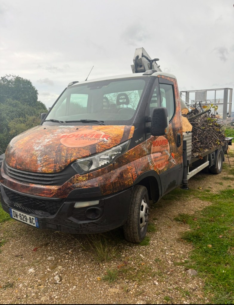 Elagage Saint Cyr sur Mer