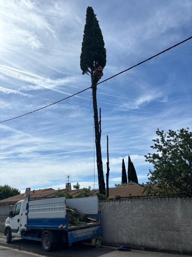 Elagage Saint Cyr sur Mer