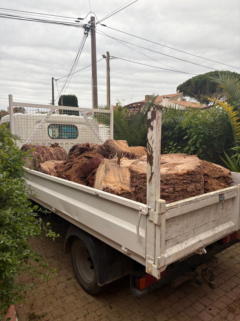 Elagage Saint Cyr sur Mer