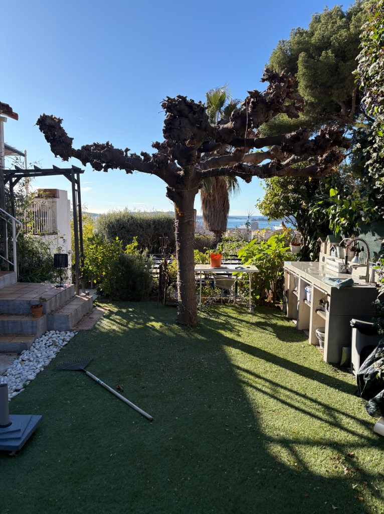 Elagage Saint Cyr sur Mer