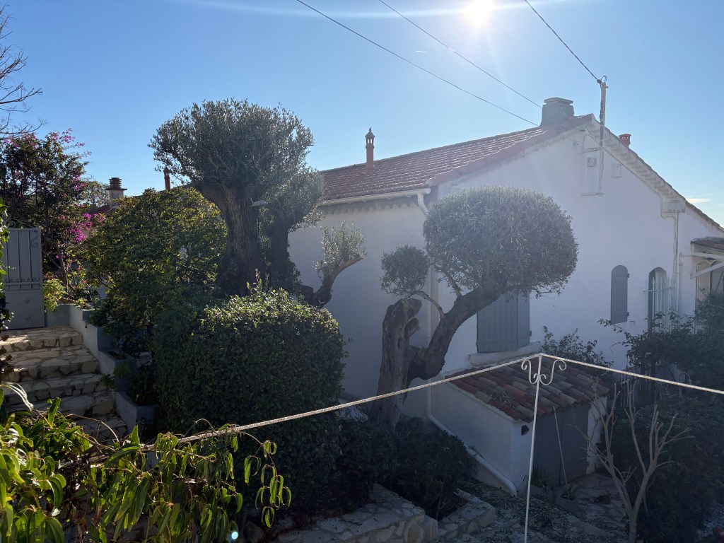 Elagage Saint Cyr sur Mer