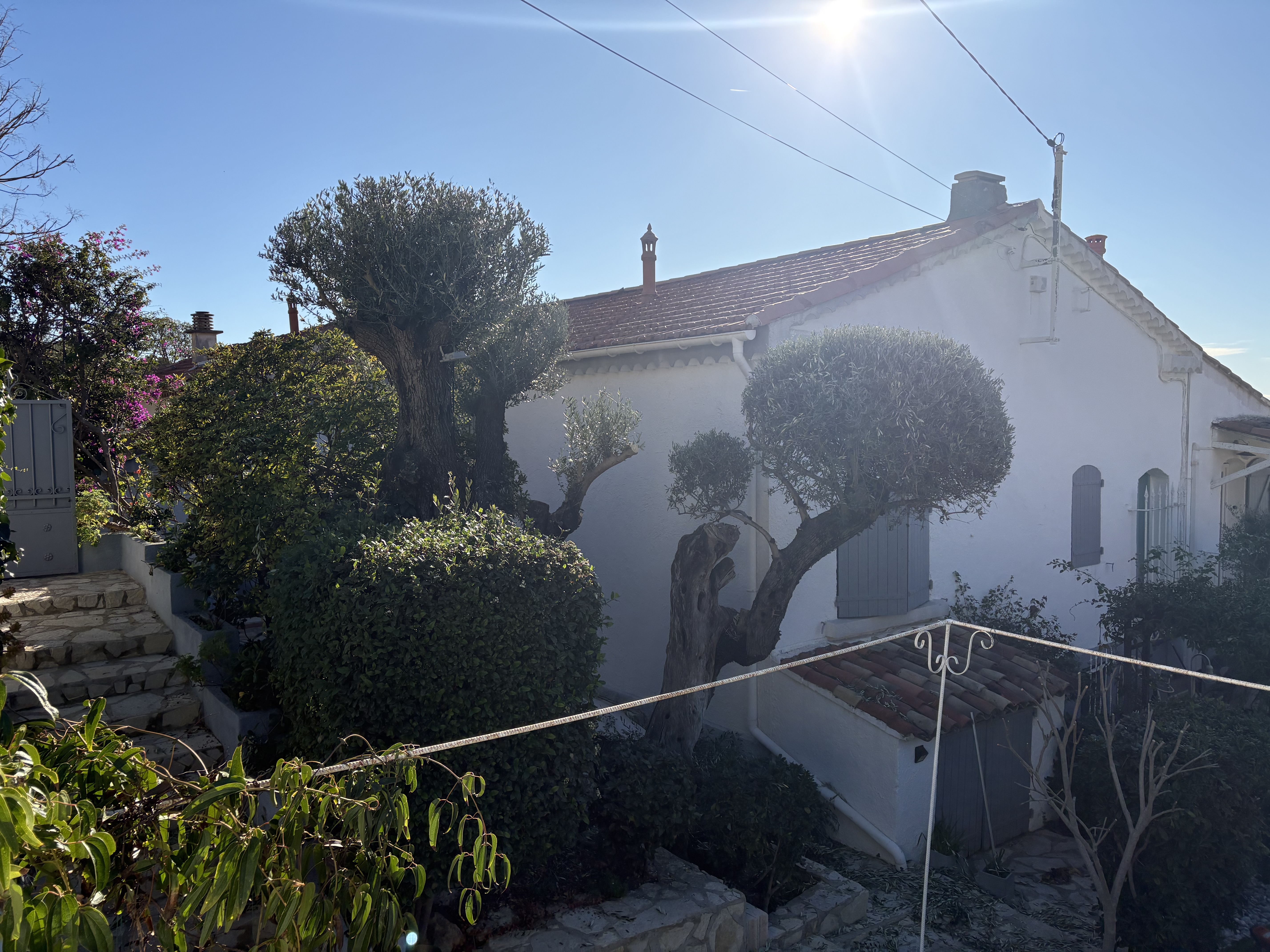 Elagage Bouvier Express