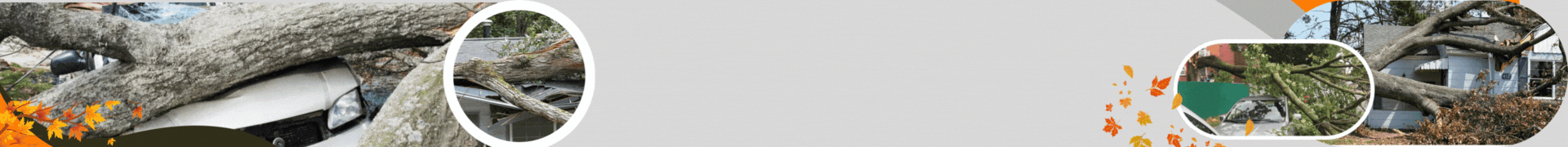 Urgence ! - Elagage Bouvier Express Bannière