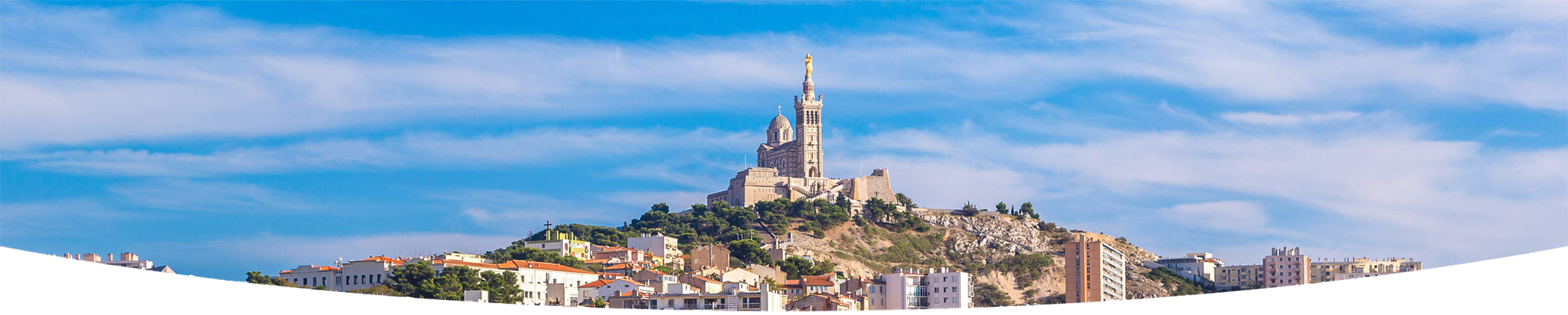 Élagage & Abattage d’Arbres à Marseille