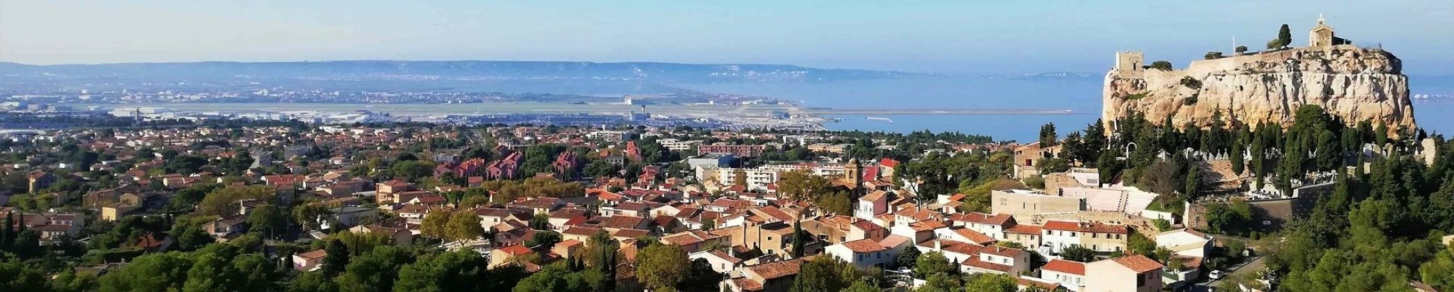 Élagage & Abattage d’Arbres à Vitrolles