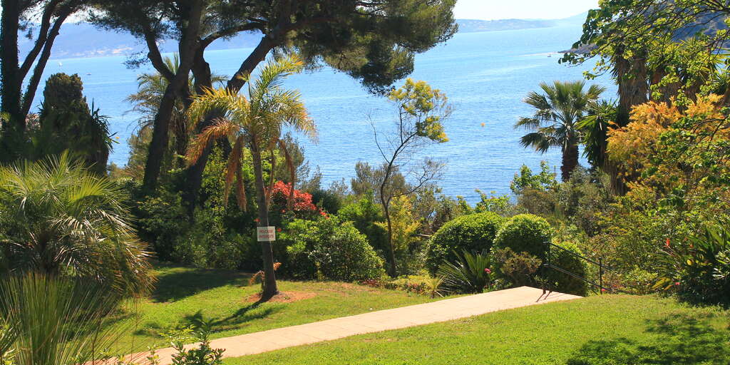 Taille de haie et jardin à Clos des Plages - La Ciotat
