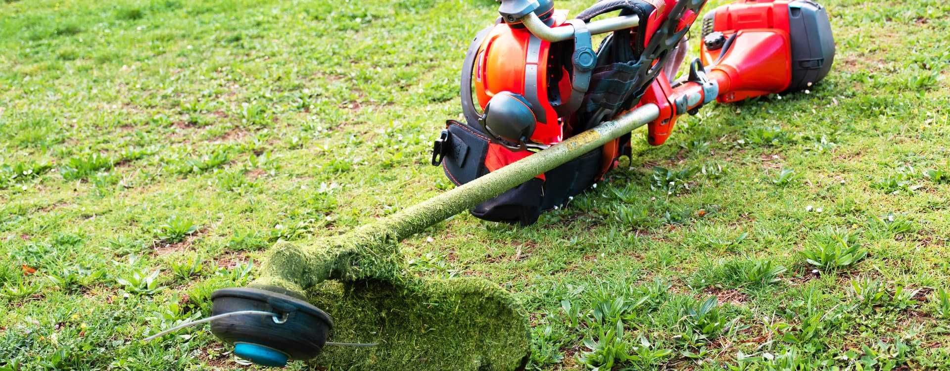 Débroussaillage et Aménagement Paysager à Maltemps