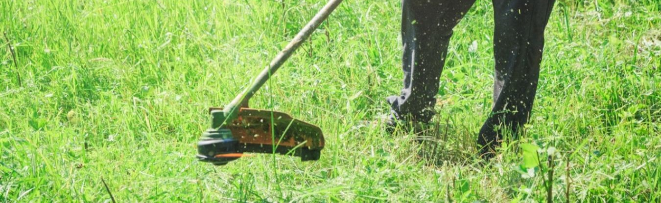 Débroussaillage et Taille de Haies à La Baou Sanary