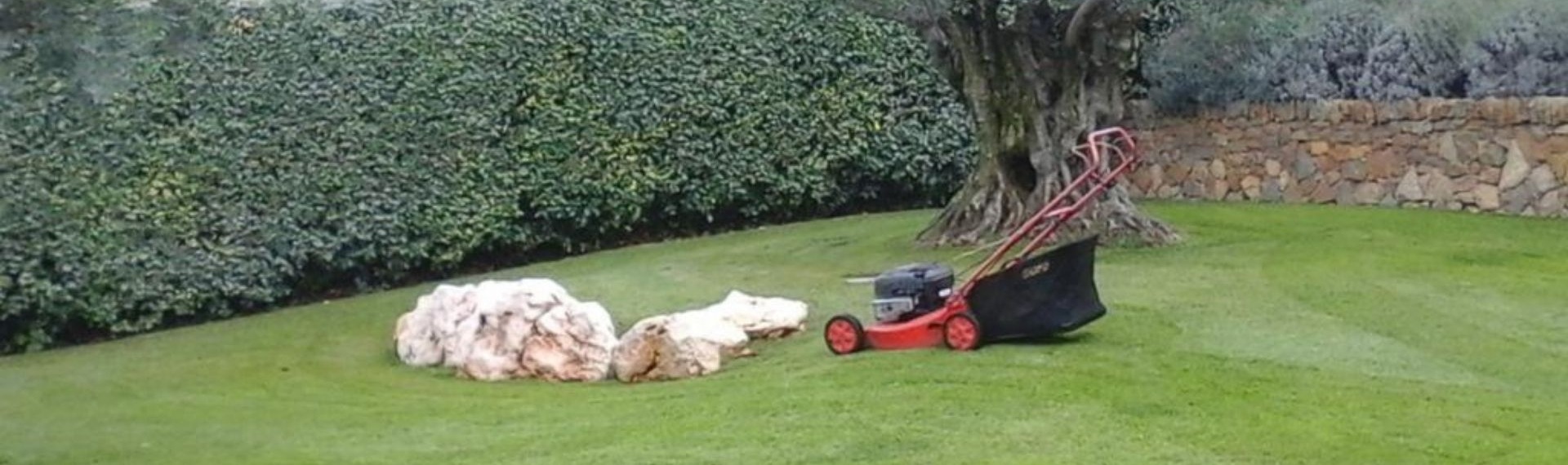 Entretien de Jardins et Élagage à Poussaraque Sanary-sur-Mer