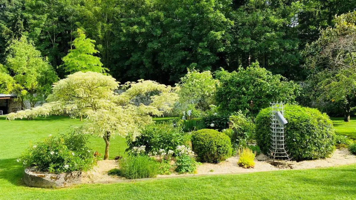 Taille de Haie et Entretien d’Espaces Verts à Portissol Sanary