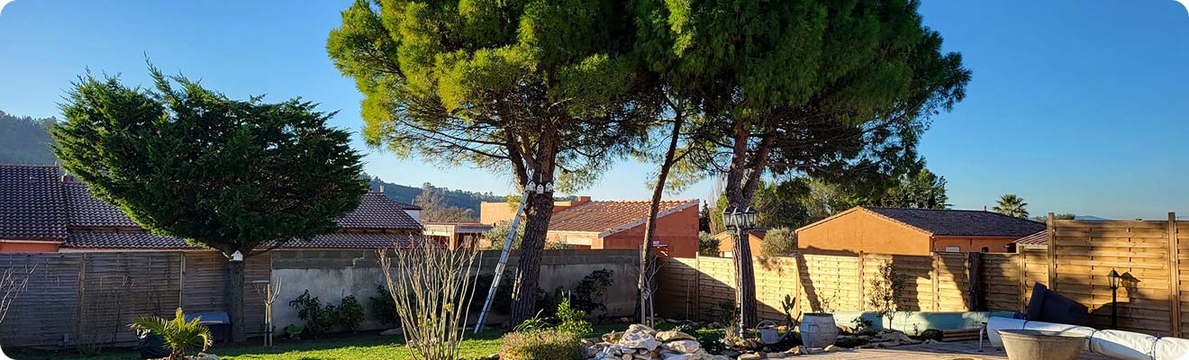 Taille, Élagage et Dessouchage à Les Matagots – Bouvier Express La Ciotat