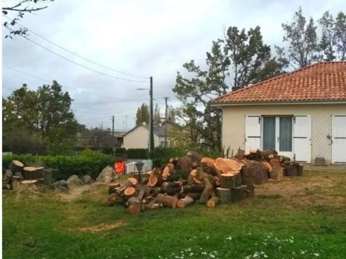 Abattage d'arbre à Marseille après intervention Élagage Bouvier